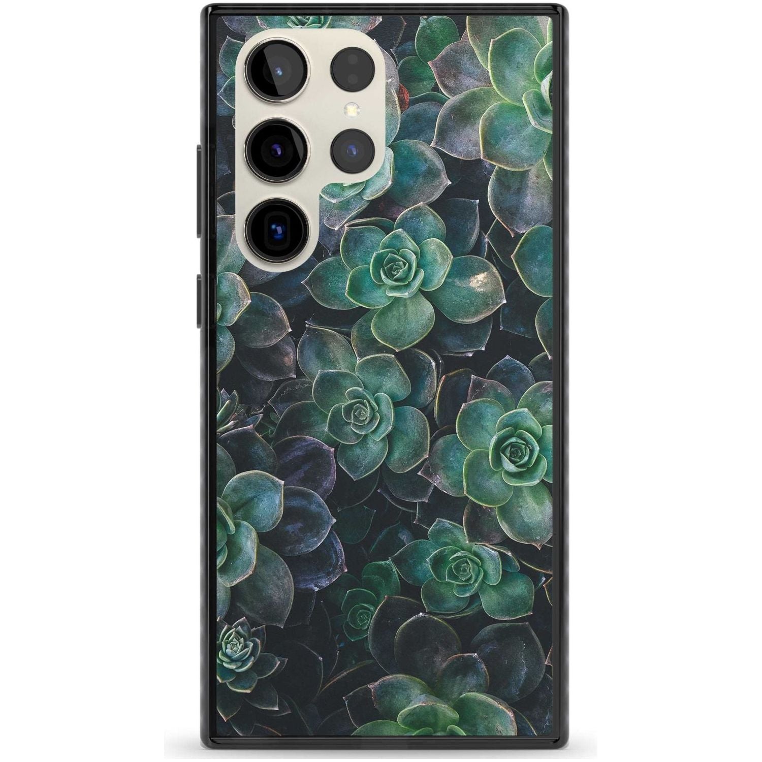 Succulent Bloom Botanical