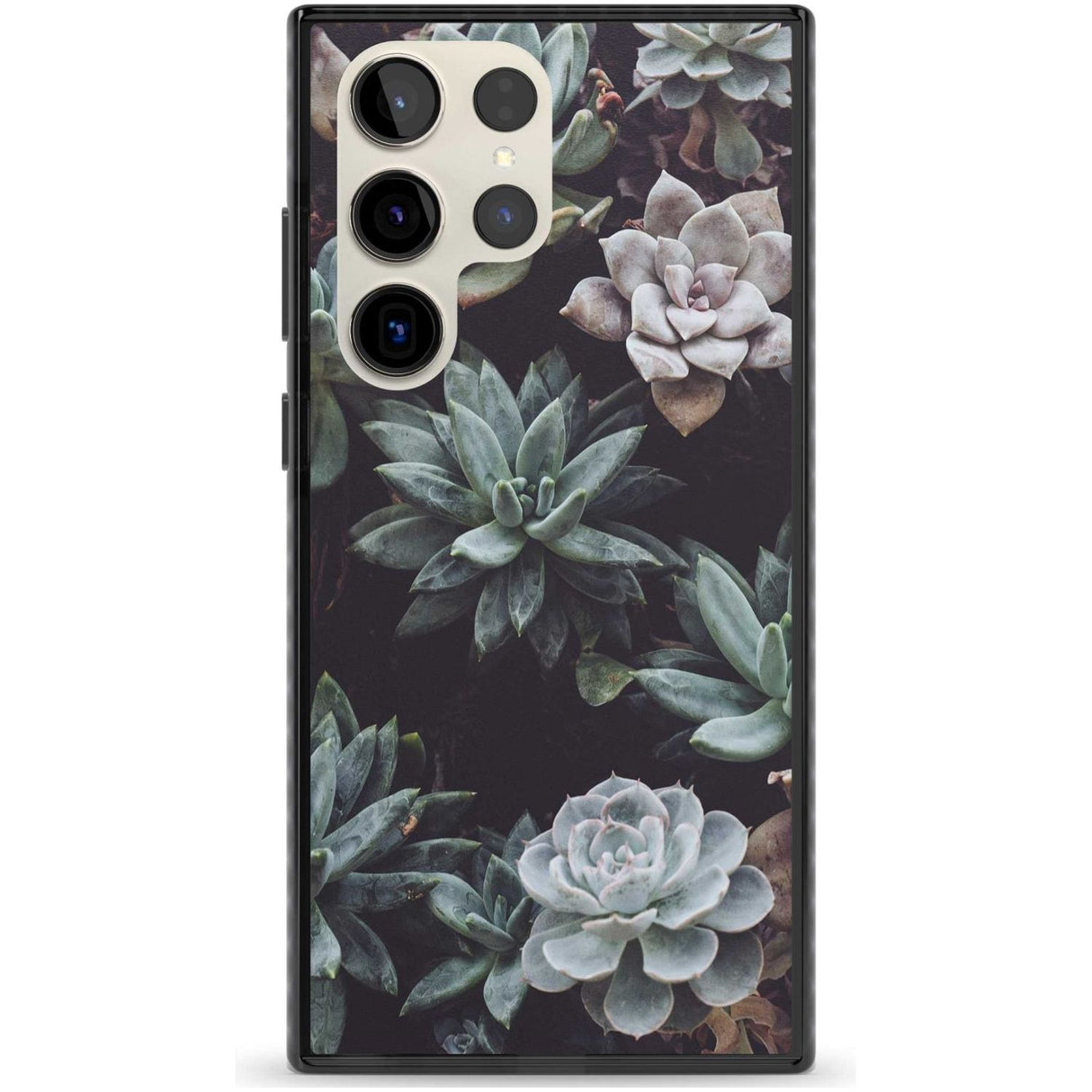 Mixed Succulents - Real Botanical Photographs Phone Case Samsung S22 Ultra / Black Impact Case,Samsung S23 Ultra / Black Impact Case Blanc Space