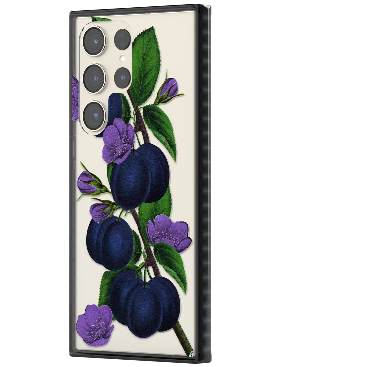 Vintage Painted Plums Samsung S22 Ultra / Samsung S23 Ultra / Samsung S24 Ultra Impact Black Phone Case side