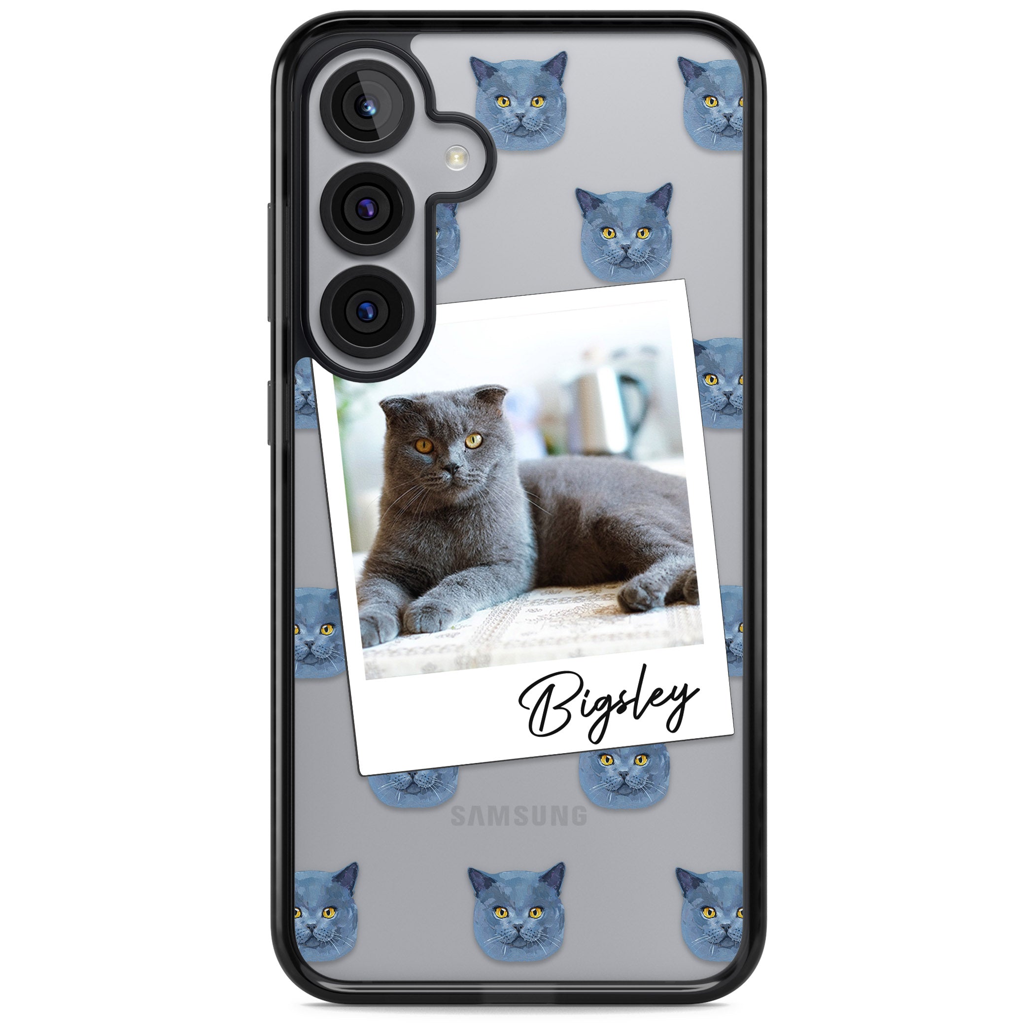 Personalised English Blue Cat Photo