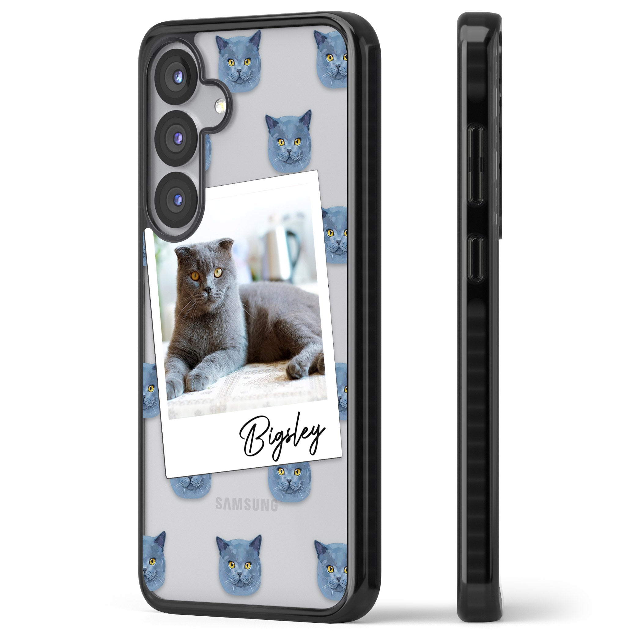 Personalised English Blue Cat Photo