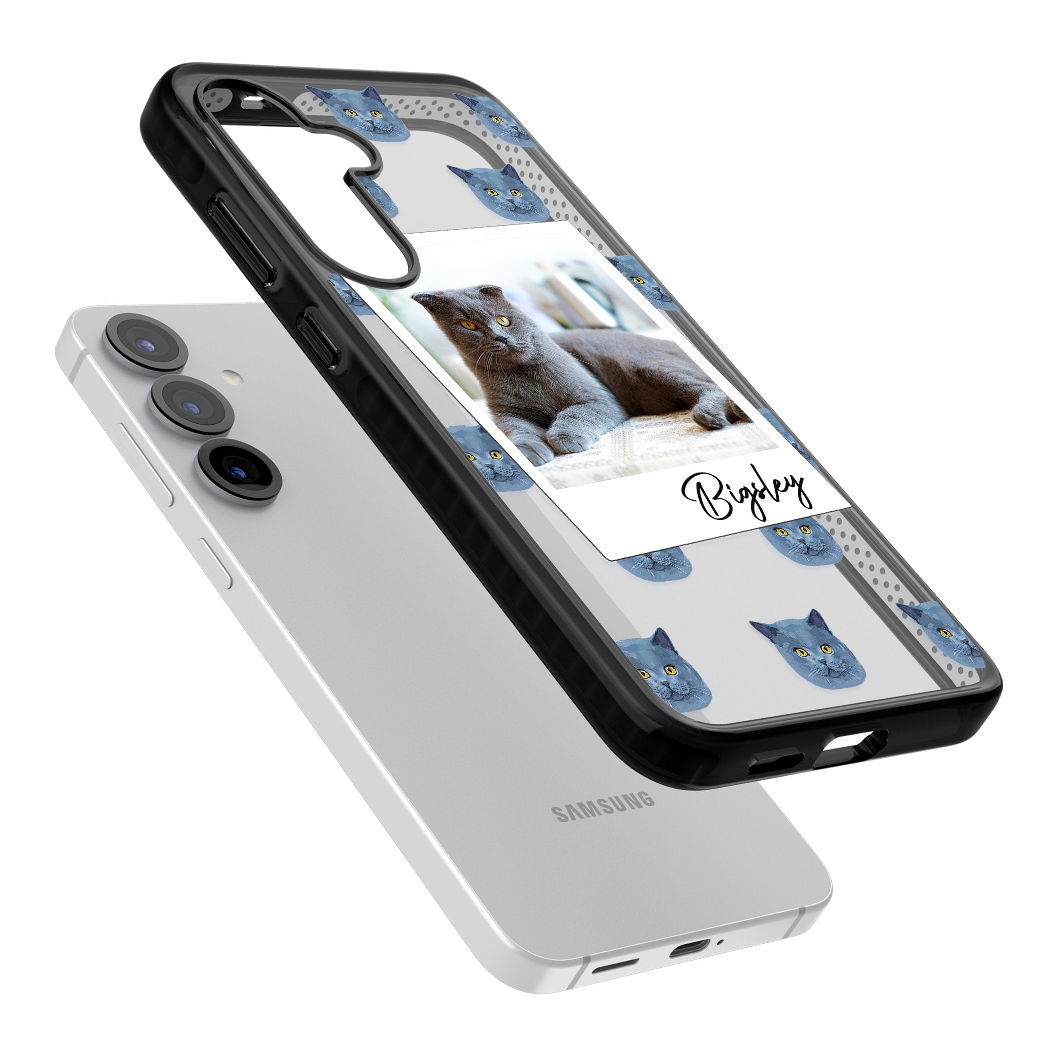 Personalised English Blue Cat Photo