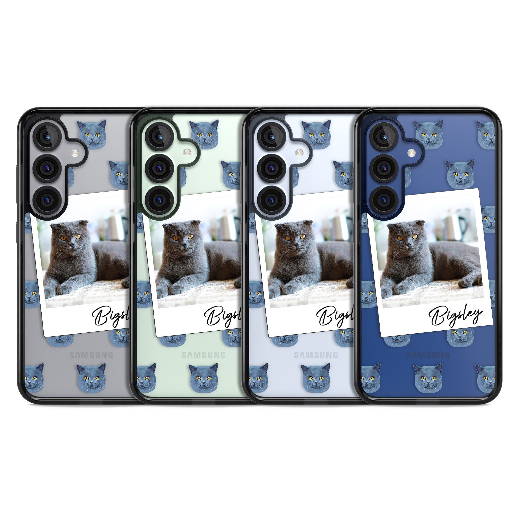 Personalised English Blue Cat Photo