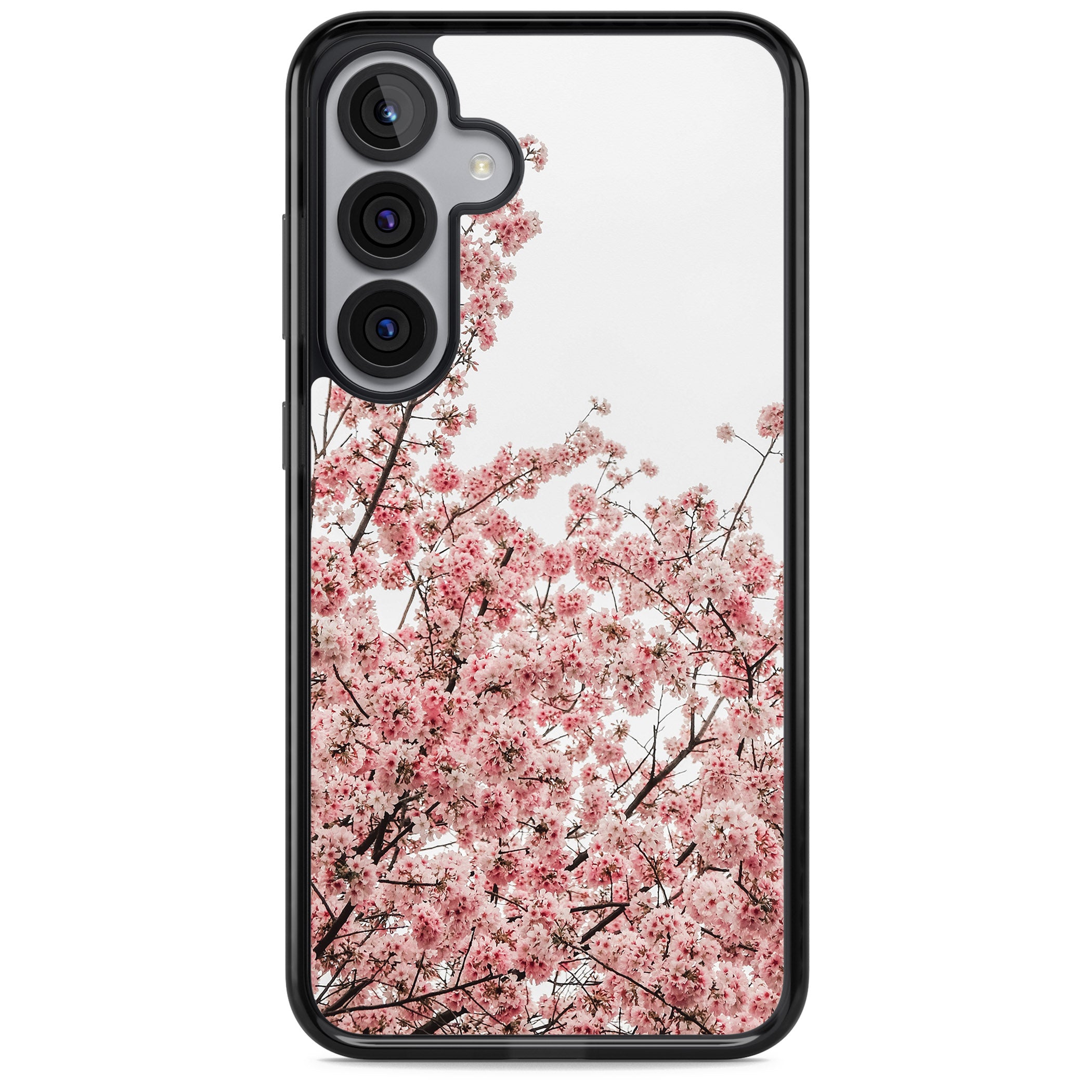 Cherry Blossom Bloom