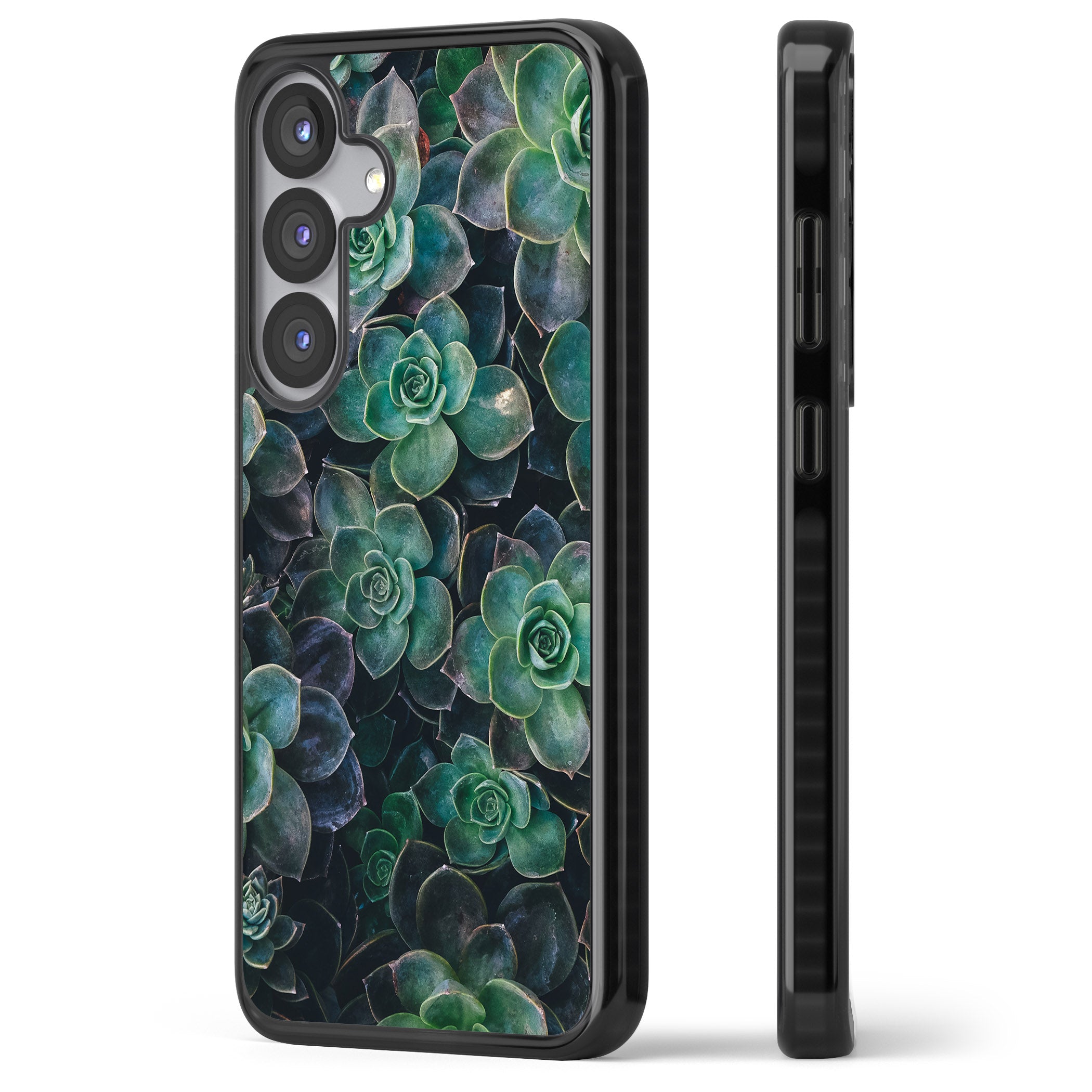 Succulent Bloom Botanical