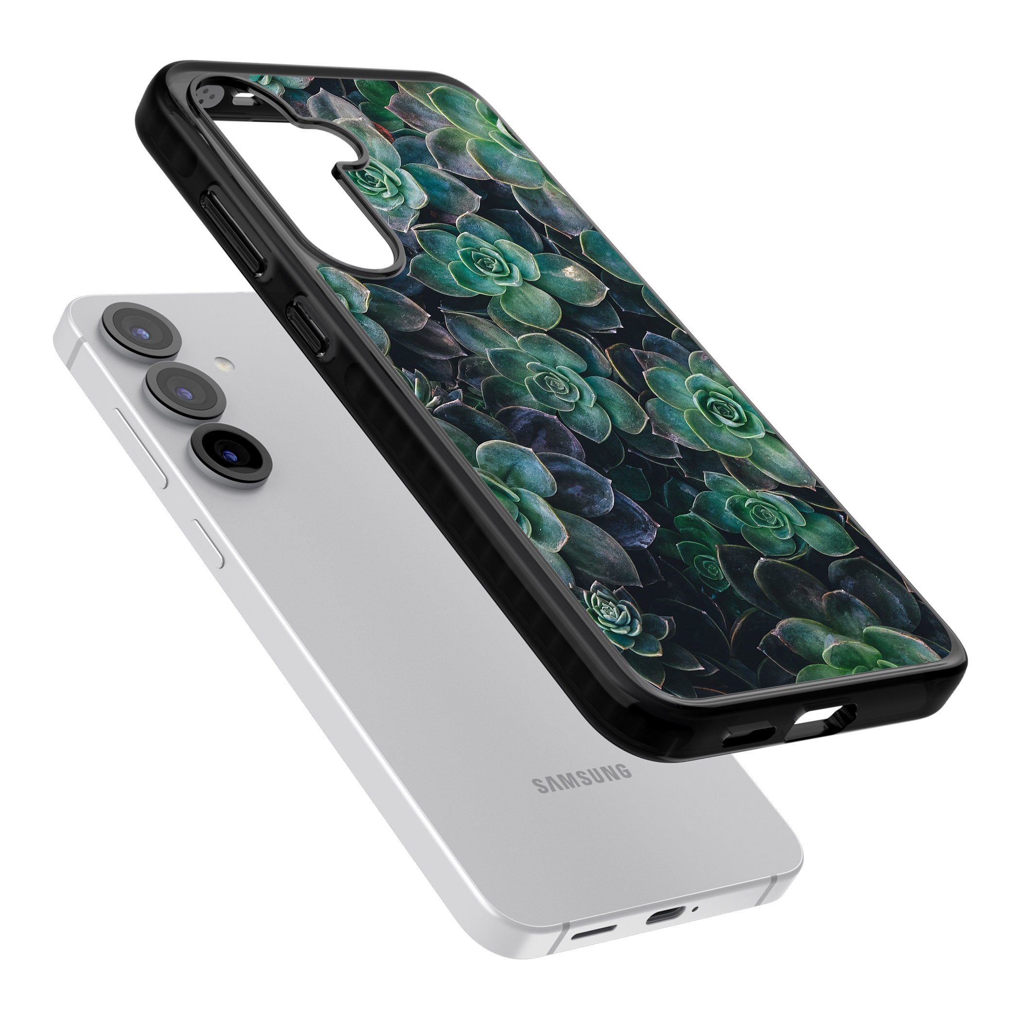 Succulent Bloom Botanical