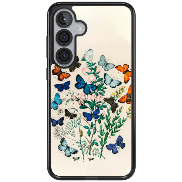 European Butterflies