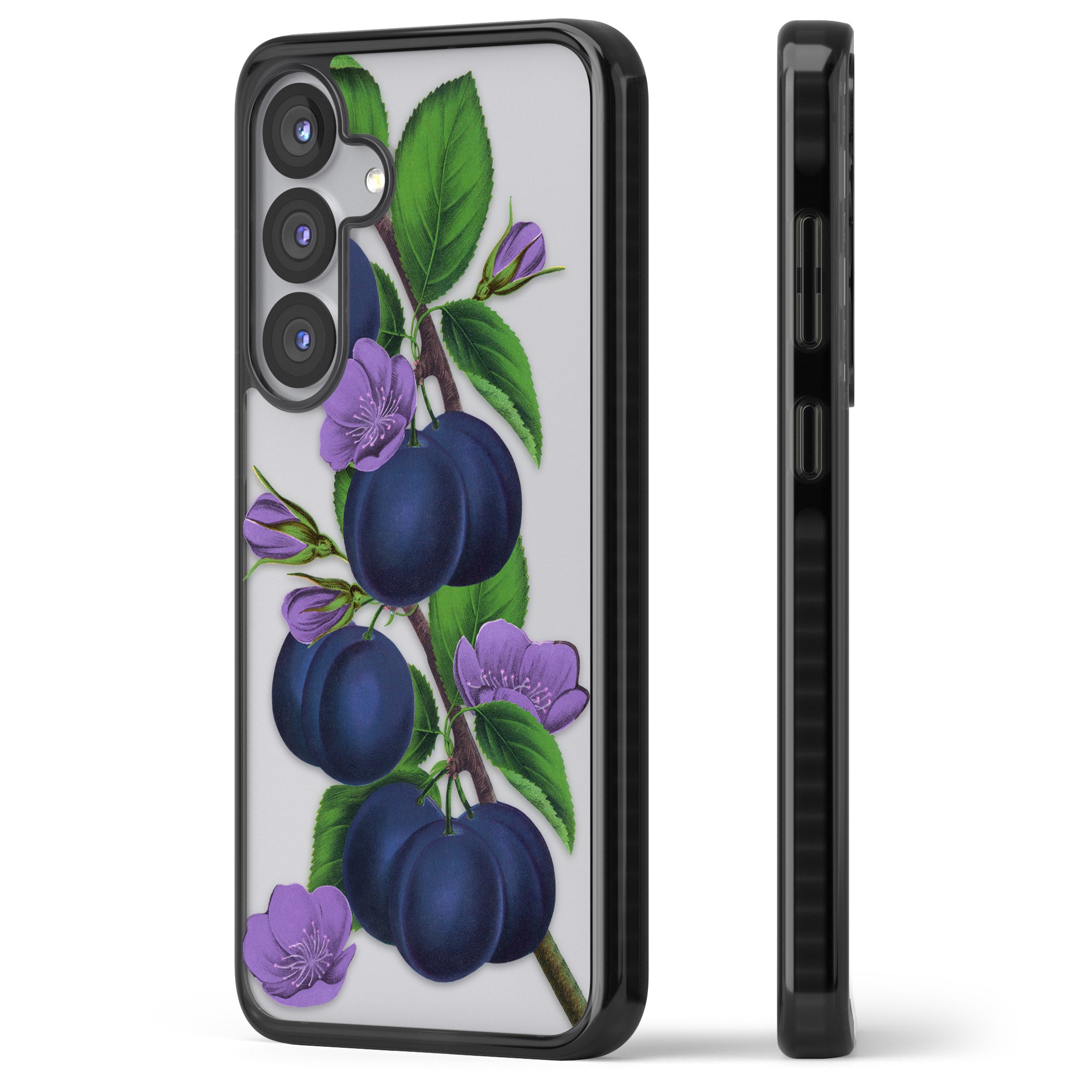 Vintage Painted Plums