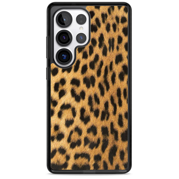 Savannah Leopard