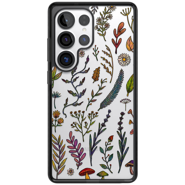 Autumn Wildflowers