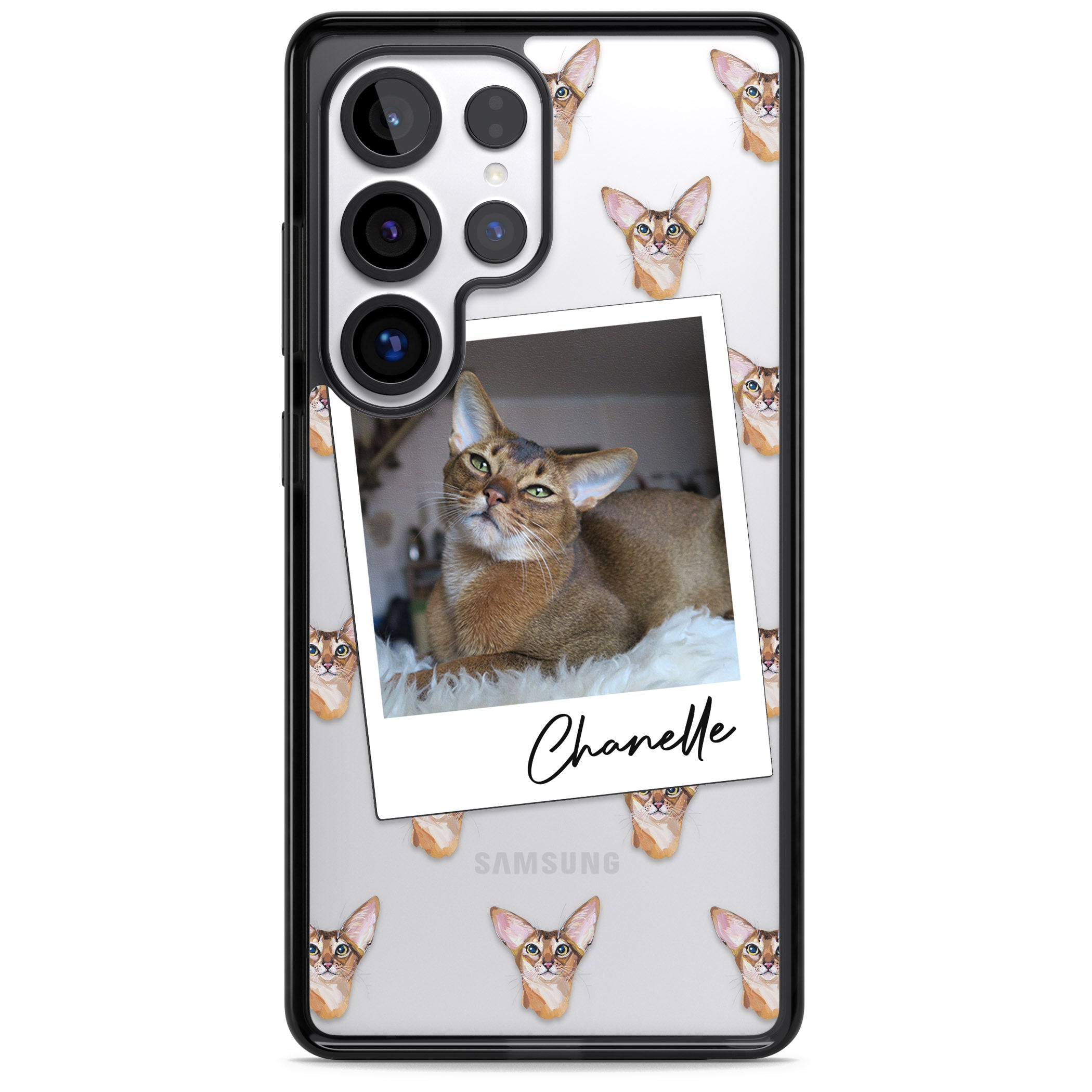 Personalised Abyssinian Cat Photo