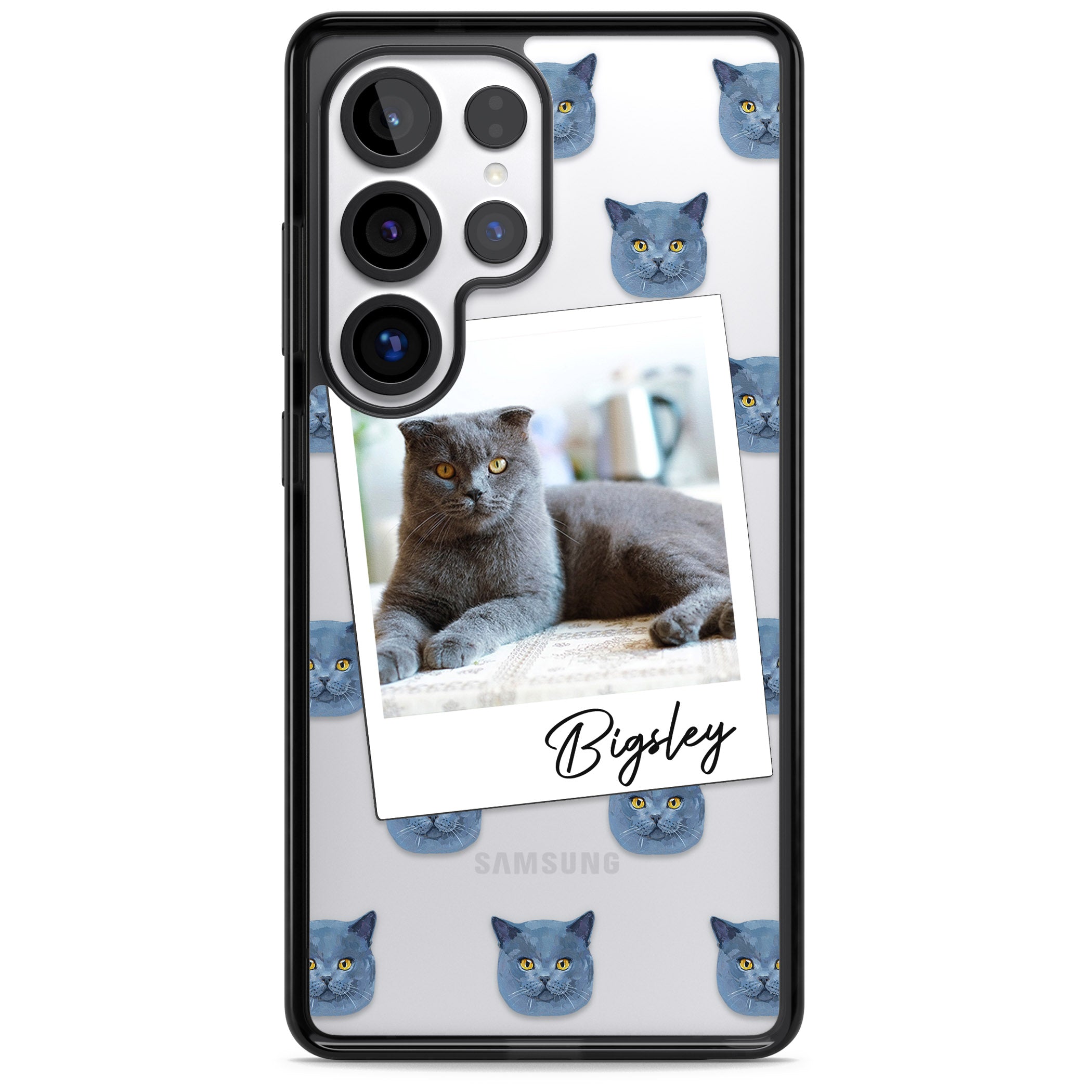 Personalised English Blue Cat Photo