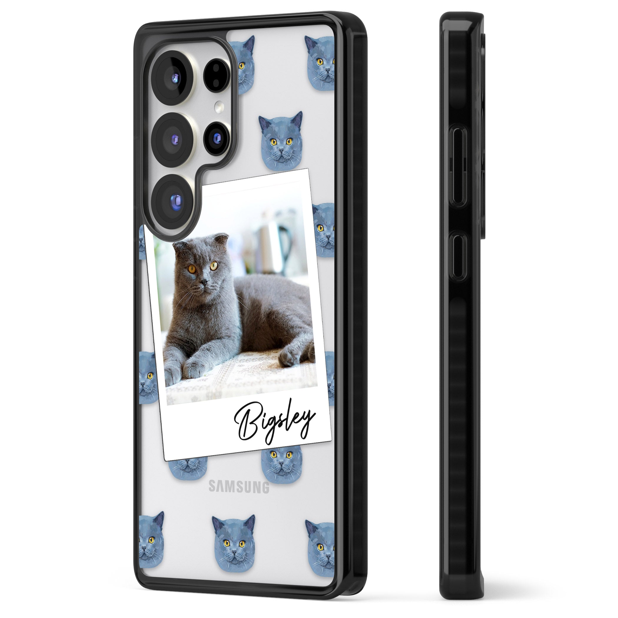 Personalised English Blue Cat Photo