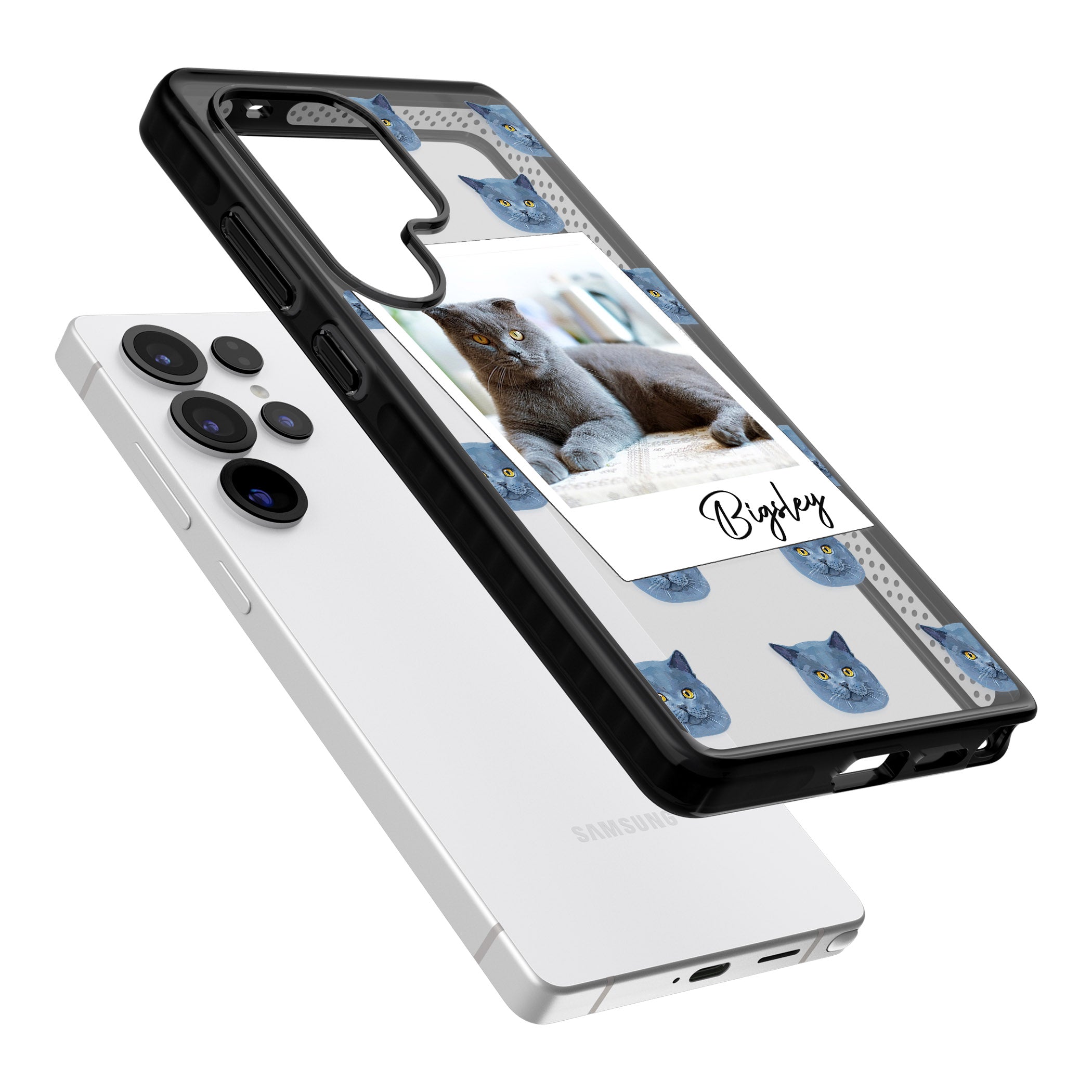 Personalised English Blue Cat Photo