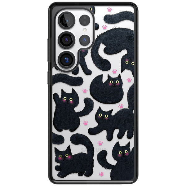 Midnight Cats