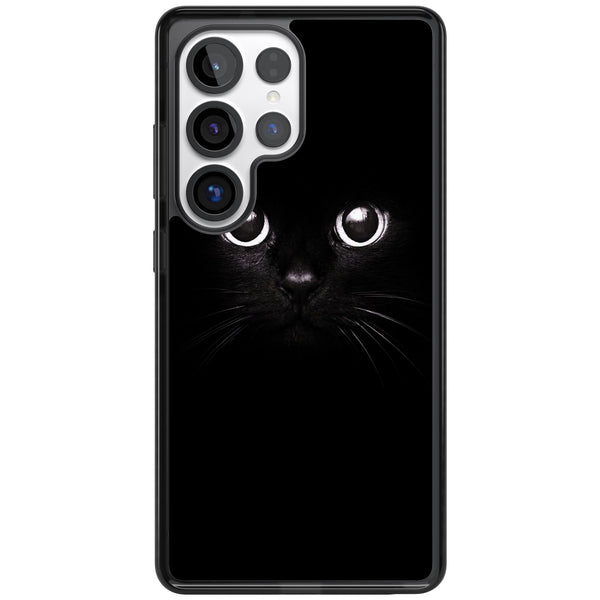 Black Cat