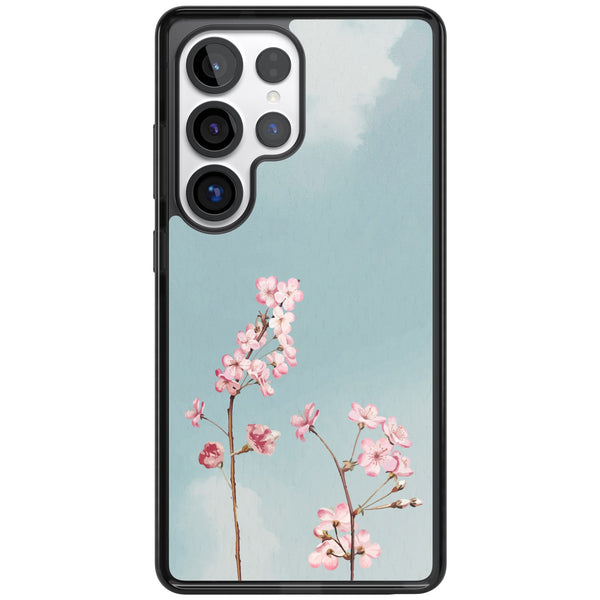 Blossom Flower Sky