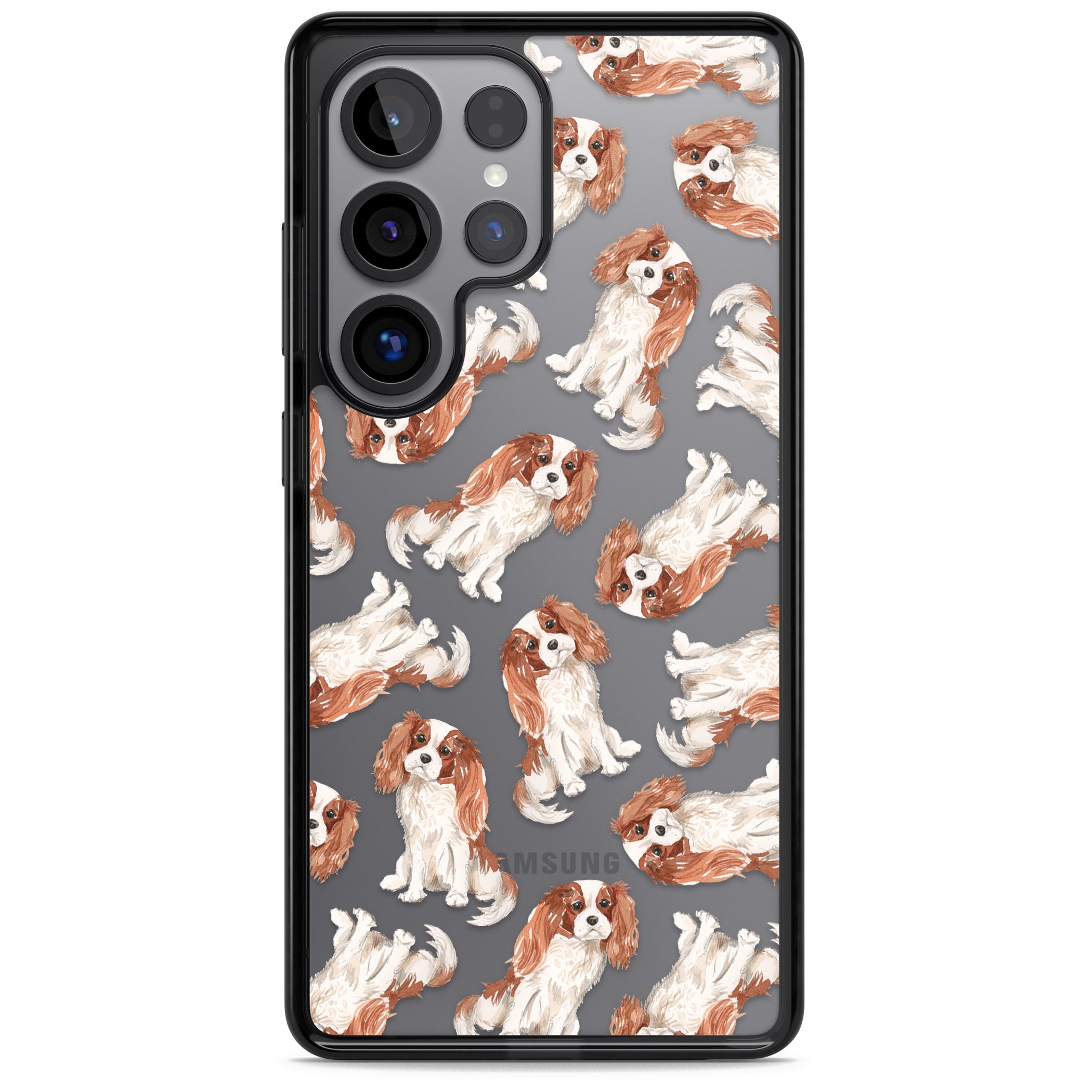 Cavalier King Charles Spaniel