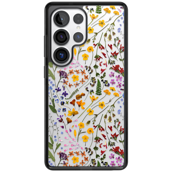 Wildflower