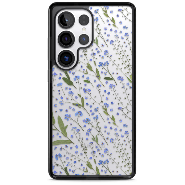 Blue Meadow