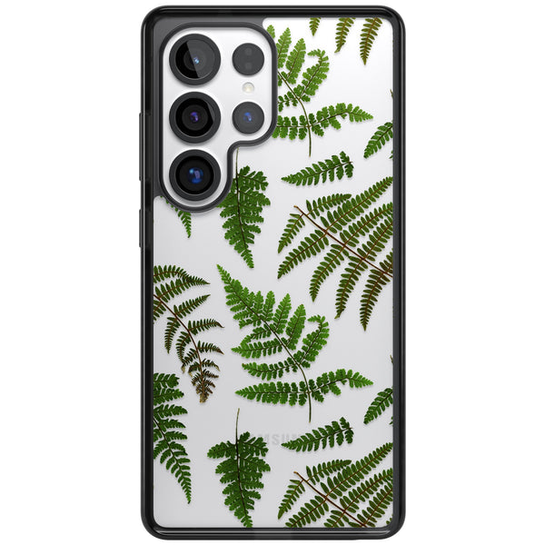 Leafy Ferns