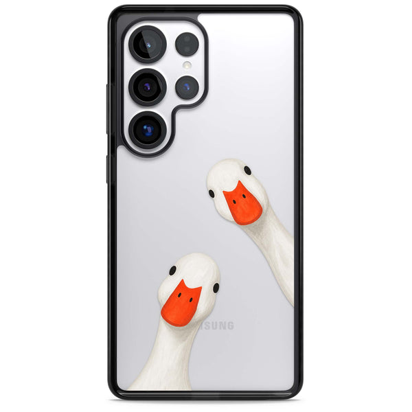 Nosy Ducks
