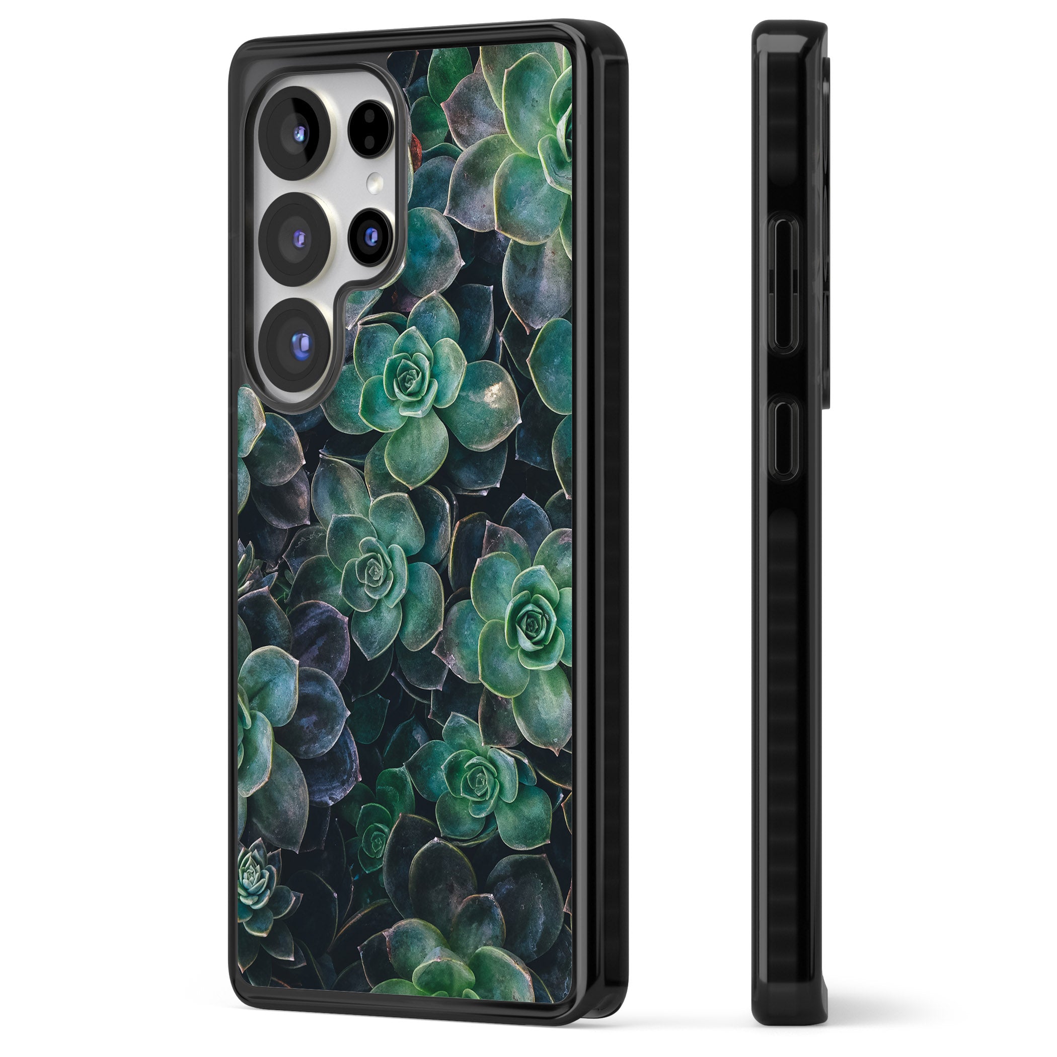 Succulent Bloom Botanical