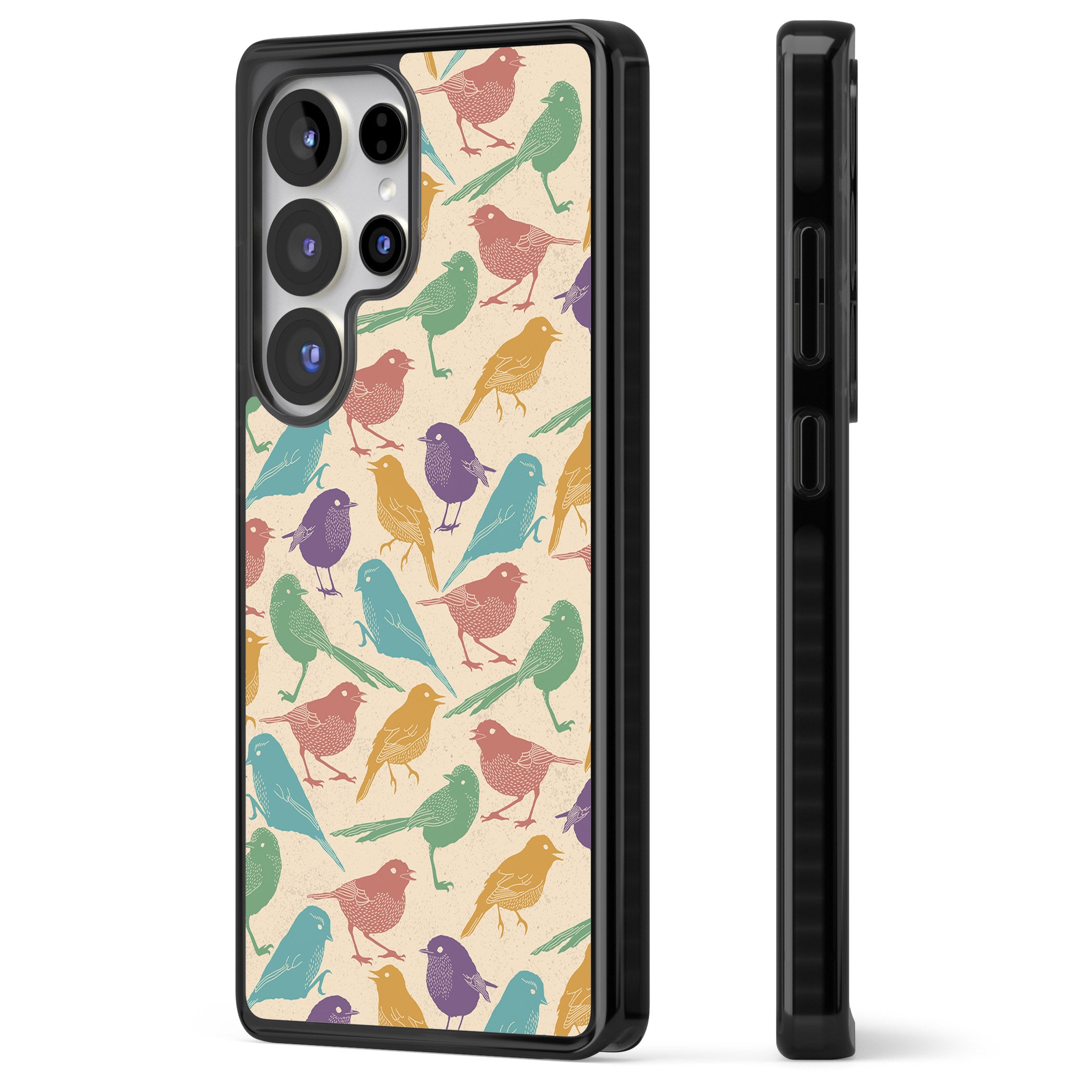 Colorful Feathered Friends