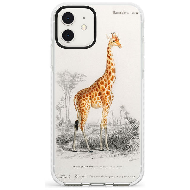 Vintage Girafe Art Impact Phone Case for iPhone 11