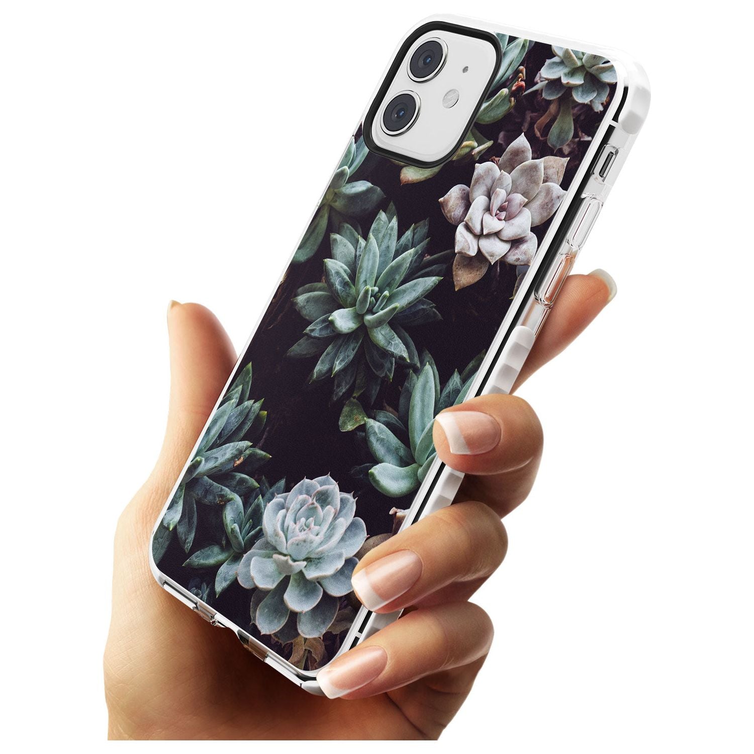 Mixed Succulents - Real Botanical Photographs Impact Phone Case for iPhone 11