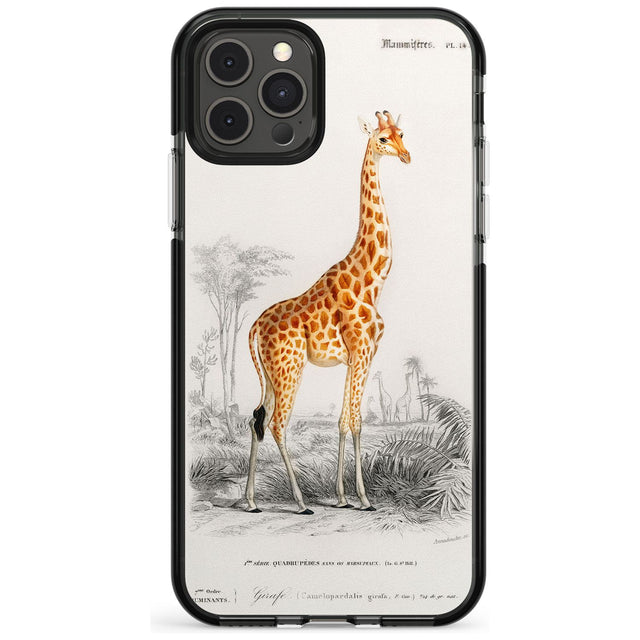 Vintage Girafe Art Black Impact Phone Case for iPhone 11