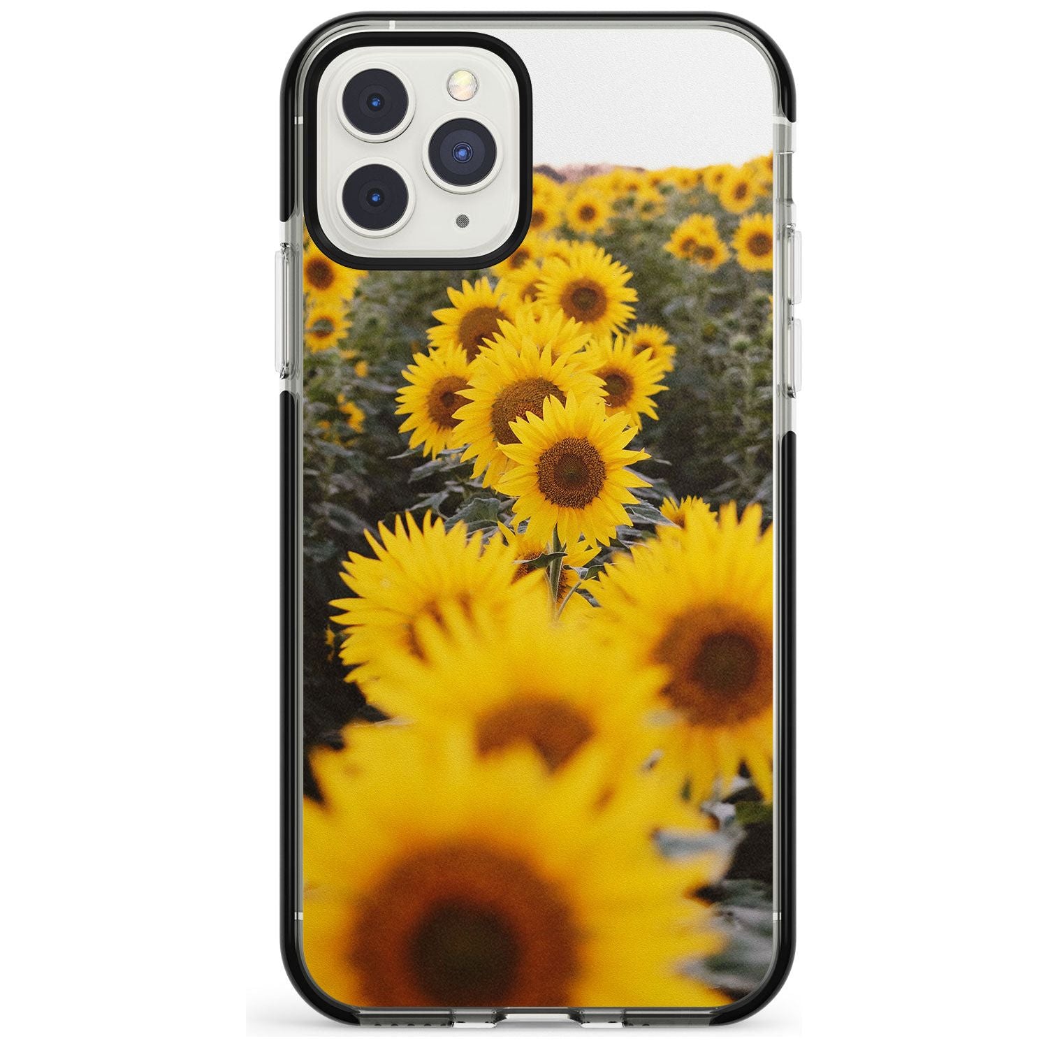 Sunflower Field Photograph Black Impact Phone Case for iPhone 11 Pro Max