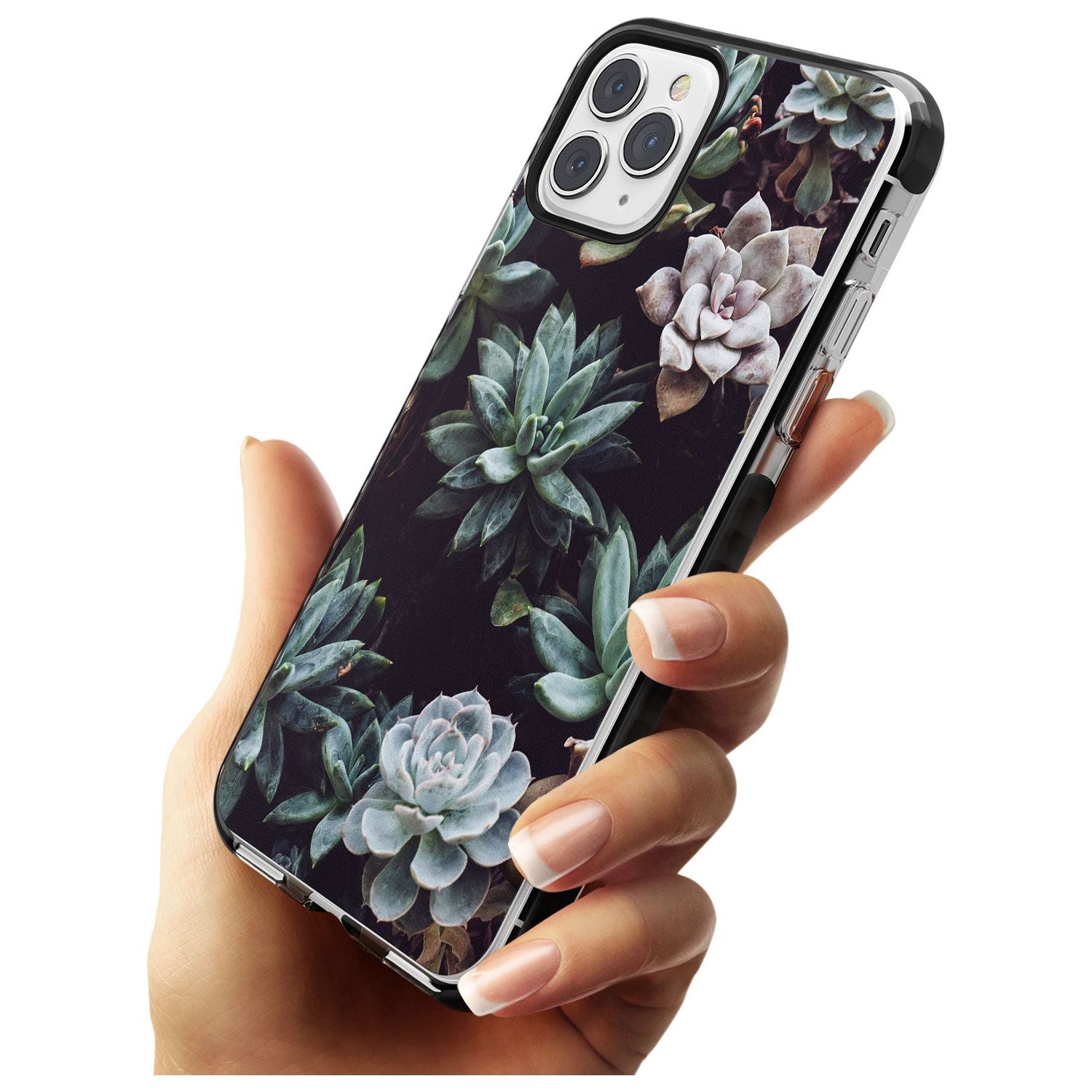 Mixed Succulents - Real Botanical Photographs Black Impact Phone Case for iPhone 11 Pro Max