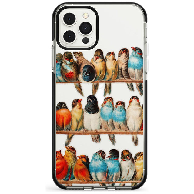 A Perch of Birds Black Impact Phone Case for iPhone 11