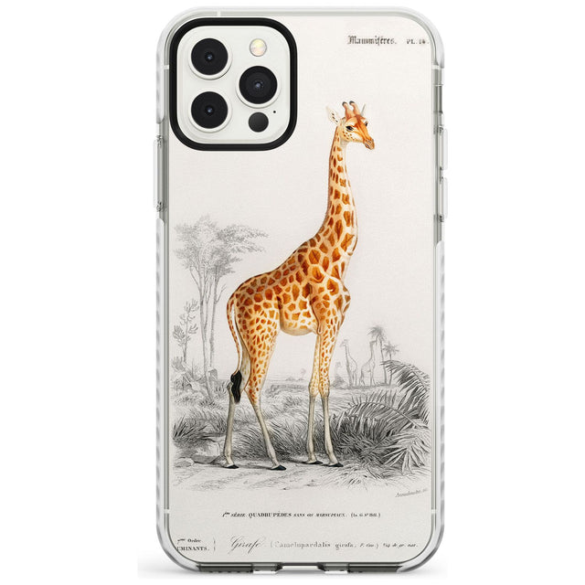 Vintage Girafe Art Impact Phone Case for iPhone 11 Pro Max