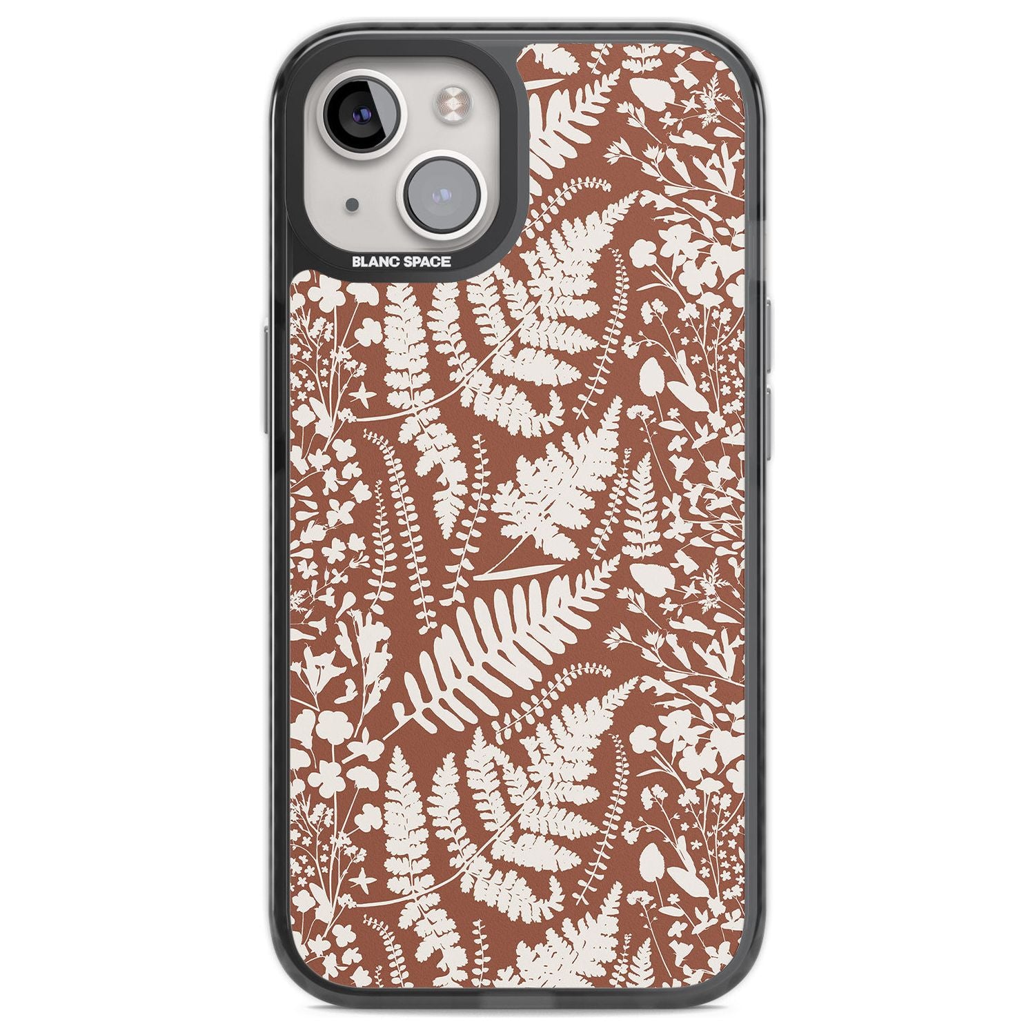 Wildflowers And Ferns On Terracotta