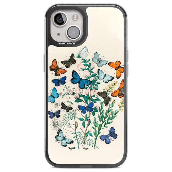 European Butterflies