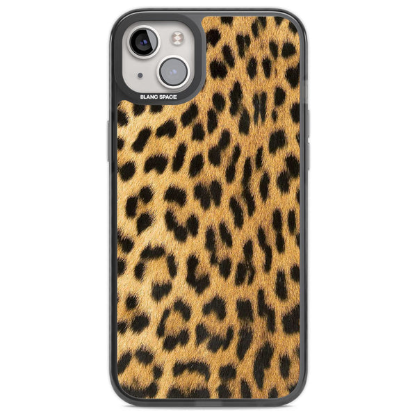 Savannah Leopard