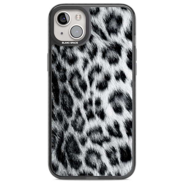 Snow Leopard