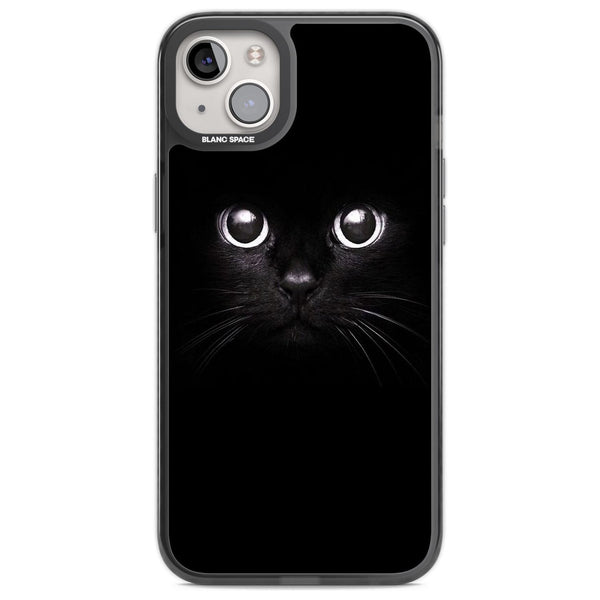Black Cat