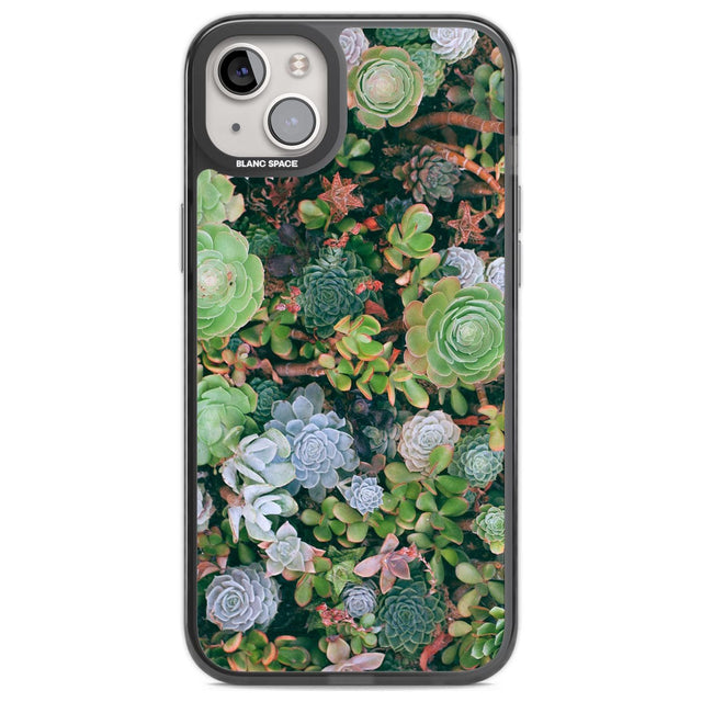 Colourful Succulents Phone Case iPhone 14 Plus / Black Impact Case Blanc Space