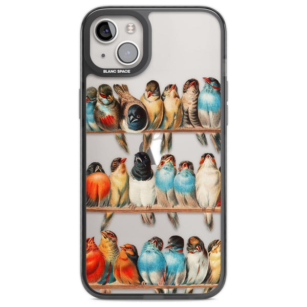 A Perch Of Birds