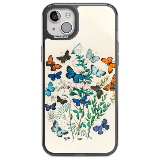 European Butterflies Phone Case iPhone 14 Plus / Black Impact Case Blanc Space