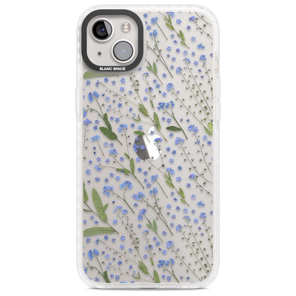 Blue Meadow