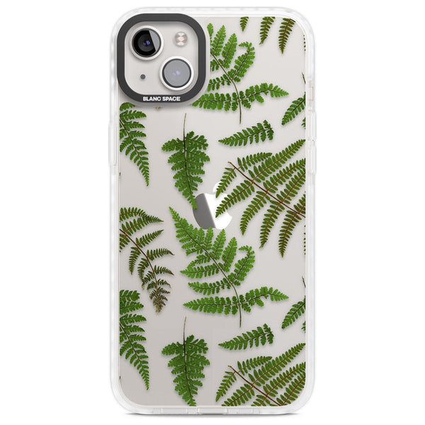 Leafy Ferns