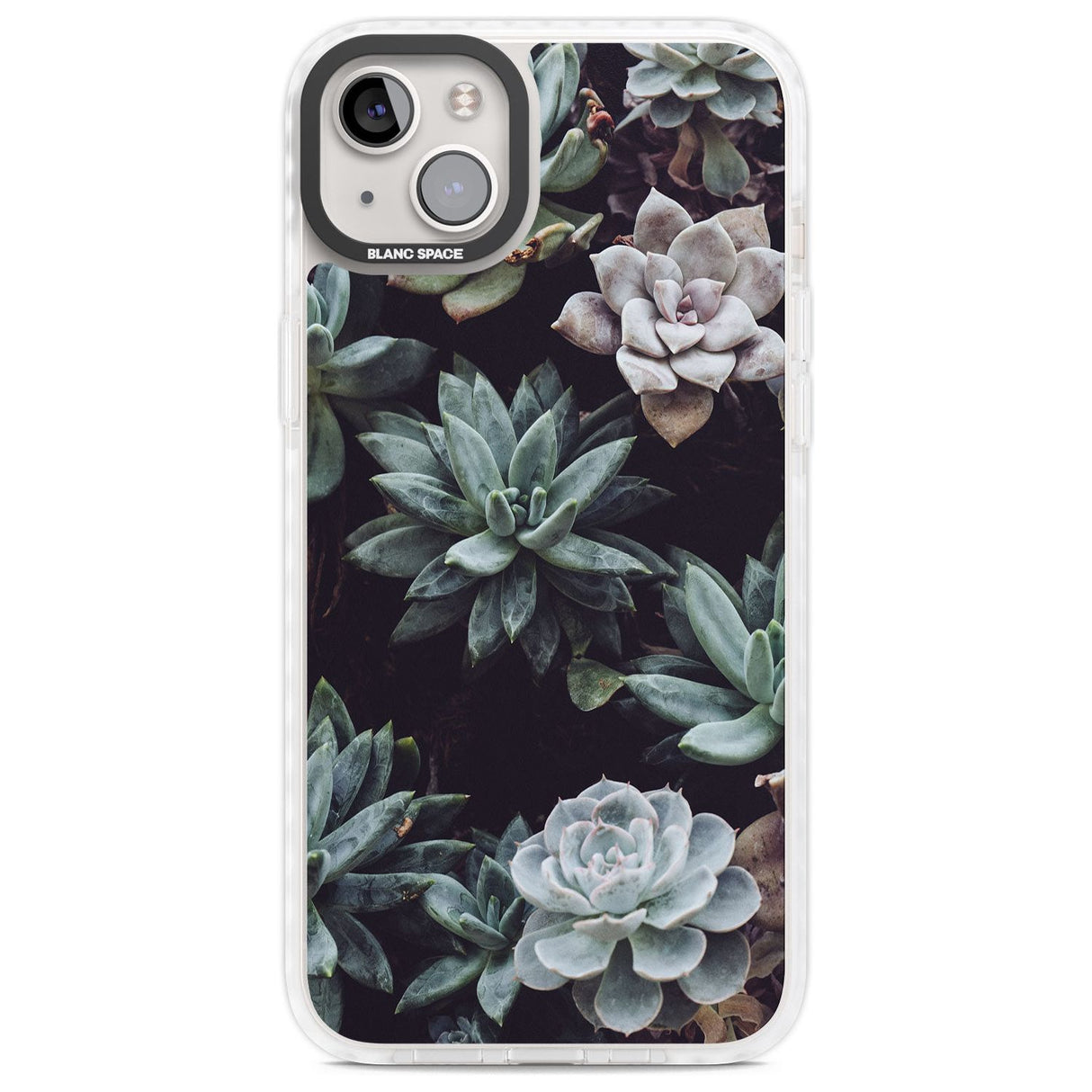 Mixed Succulents - Real Botanical Photographs Phone Case iPhone 14 Plus / Impact Case Blanc Space