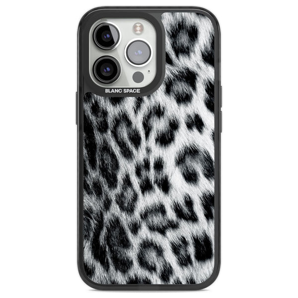Snow Leopard