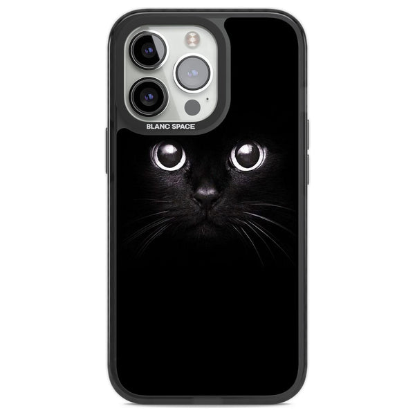 Black Cat