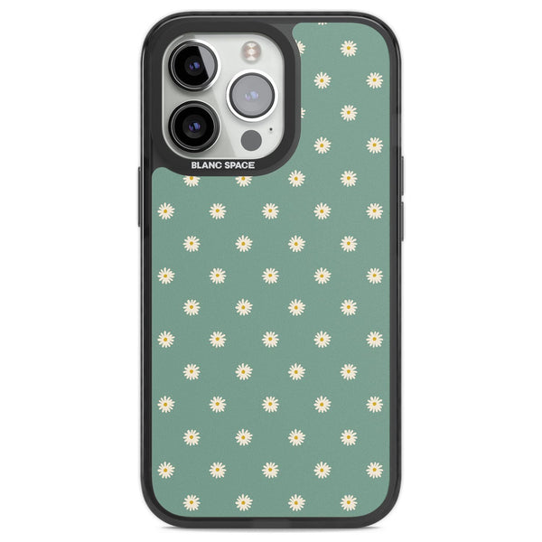 Sage Daisy Floral