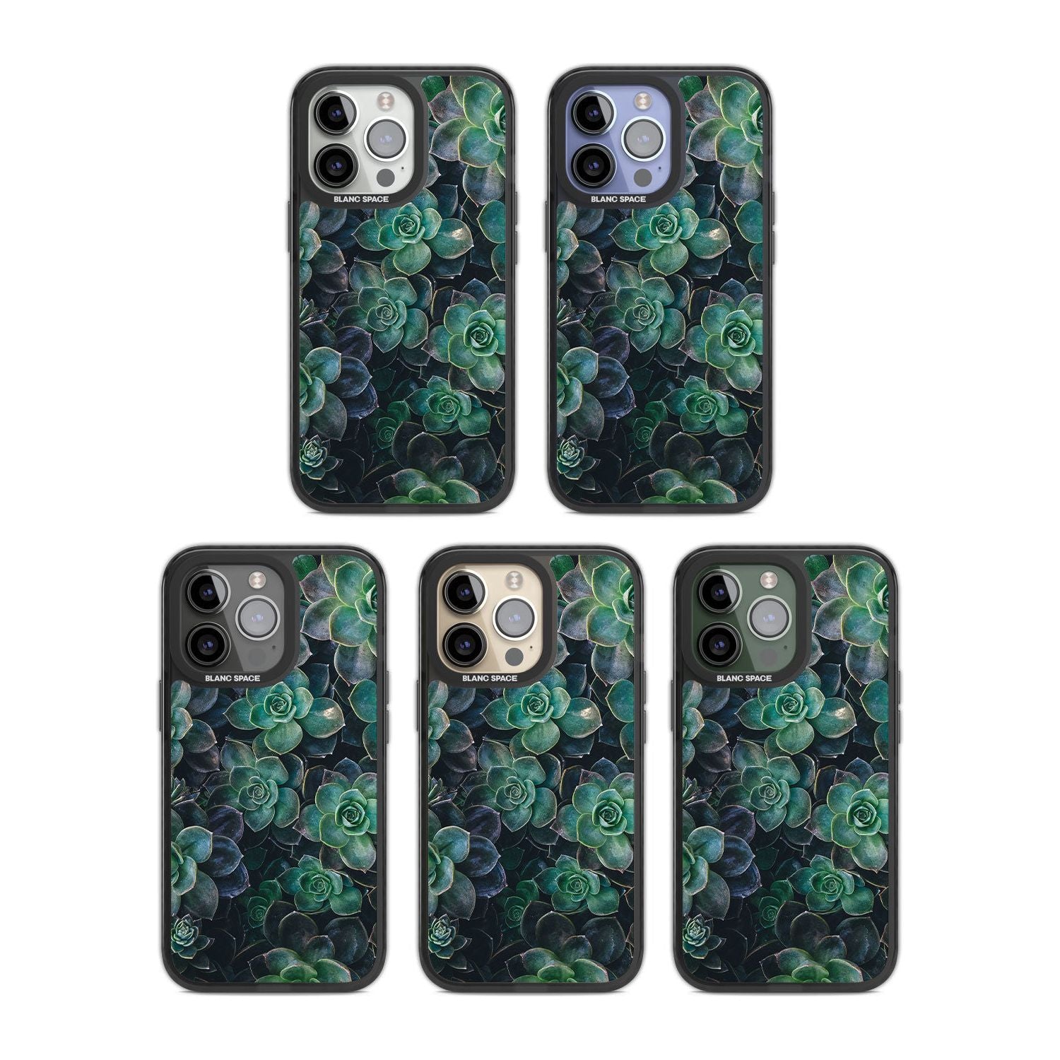 Succulent Bloom Botanical